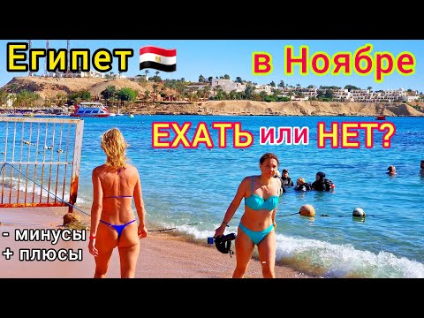 Видео: Египет в НОЯБРЕ 🇪🇬 Цены на туры НИЖЕ НЕКУДА❗️ Стоит ли ЛЕТЕТЬ на ОТДЫХ? Все ПЛЮСЫ и МИНУСЫ