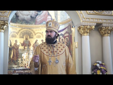 Видео: О правиле Лазаря