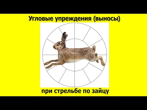Видео: Угловые упреждения (выносы) при стрельбе по зайцу и другой наземной дичи