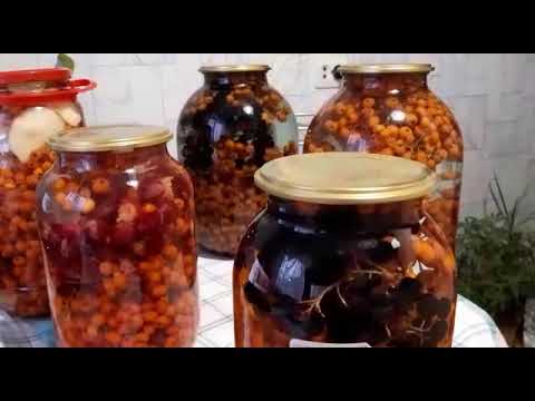 Видео: Самый лечебный компот из красной рябины