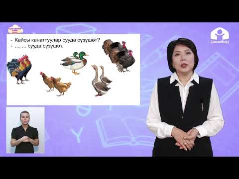 Видео: Кыргызский язык 3 класс / Канаттуулар / ТЕЛЕУРОК 9.12.20