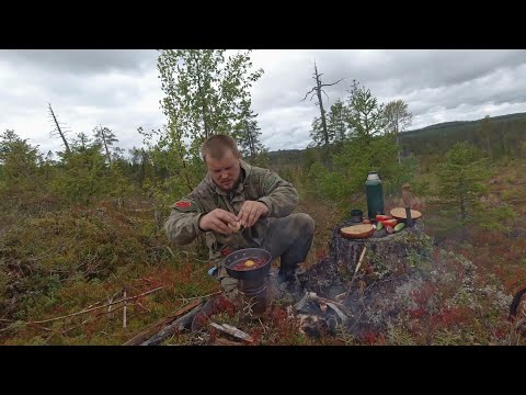 Видео: 11 600 ЗА ДЕНЬ. СБОР ЯГОД В КАРЕЛИИ. ДЕНЬГИ ИЗ ЛЕСА. КАК ЗАРАБОТАТЬ В ТАЙГЕ. СБОР БРУСНИКИ.