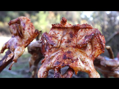 Видео: Вкусный кебаб из перепелов на природе | Рецепт барбекю из перепелов | ASMR Кулинария