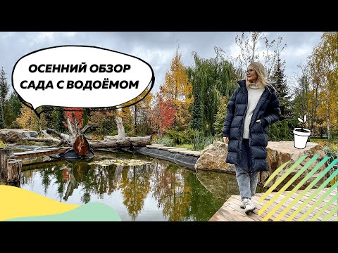 Видео: Осенний обзор сада с водоемом | Пруд в саду | Кулисная посадка | Как создать подлесок
