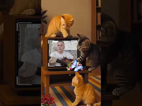 Видео: 👍Ах, варьете! (кавер)🎸 #shortvideo #cover #guitar #song #shorts #subscribe 