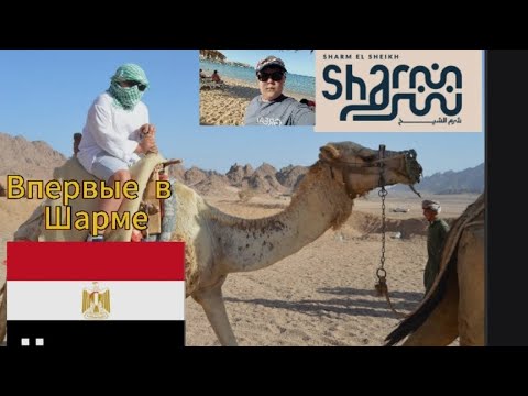 Видео: Впервые в Шарме! (Египет) 🇪🇬🐫