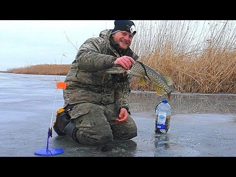 Видео: ПОСТАВИЛ ЖЕРЛИЦЫ И ПОНЕСЛАСЬ! Подводное видео АТАКИ ЩУКИ НА ЖИВЦА.  Зимняя рыбалка на щуку.