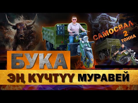 Видео: Жаңы партия жолдо. Жетишип калгыла. Видеодогулар сатылып кетти. Бука, Муравей, Грузовой трицикл.
