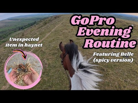 Видео: Вечерняя рутина от первого лица GoPro с моей лошадью