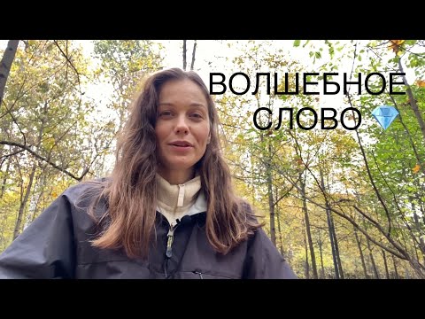 Видео: Как растворить негатив и ЧТО ответить злому человеку?