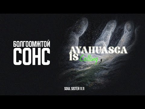 Видео: Дотоод аялал | New Earth Vibe