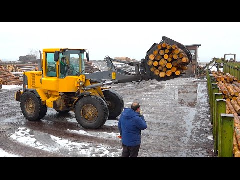 Видео: 3 удивительных процесса – сортировка древесины, производство поддонов и строительная древесина