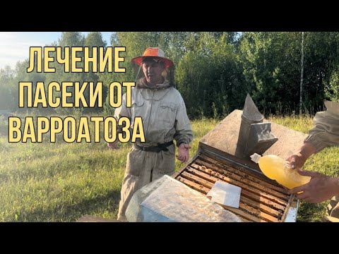 Видео: Лечим пчел амитразом