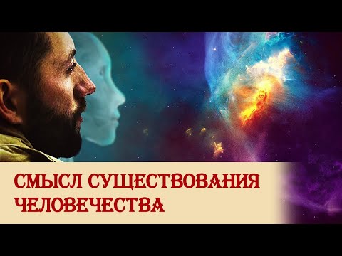 Видео: Смысл существования человечества