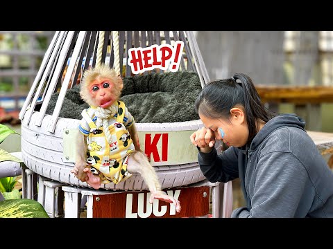Видео: Каки напугал маму! Что случилось, что так ее напугало?