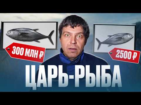 Видео: МИЛЛИОНЫ долларов всего за 1 кг / Обзор 7 САМЫХ ДОРОГИХ рыб в мире за 10 минут