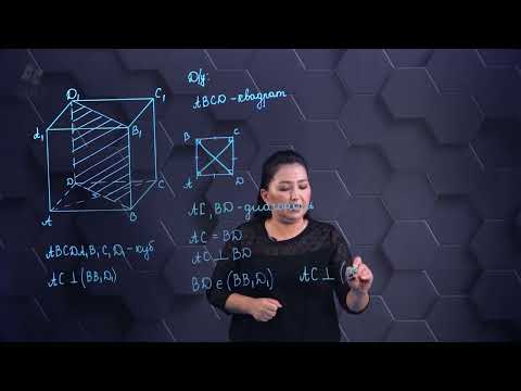 Видео: Түзулердің арасындағы бұрыш. Түзүлердің перпендикулярлығы. Практикалық бөлім. 10 сынып.
