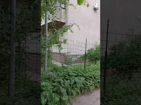 Видео: Алма-Ата улица Жарокова 286