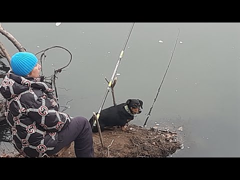 Видео: Выбрались на пару часиков .Река Арсеньевка.