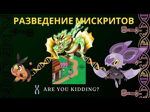 Видео: РАЗВЕДЕНИЕ В МИСКРИТАХ - зачем, какие плюсы и подводные камни || BREEDING