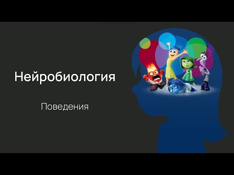 Видео: Нейробиология поведения. Лекция 1. Любопытство