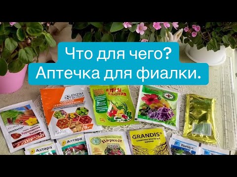 Видео: Аптечка для фиалки.Что для чего? 