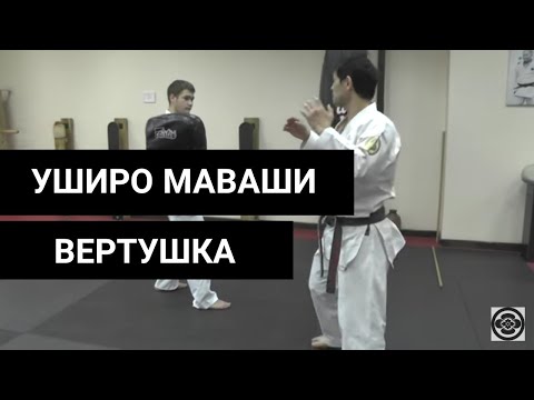 Видео: ТЕХНИКА УШИРО МАВАШИ ГЕРИ | ШОТОКАН |УЭДА МАСАРУ