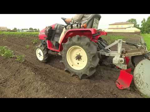 Видео: 19 июня 2025 Второе окучивание Киль для окучника