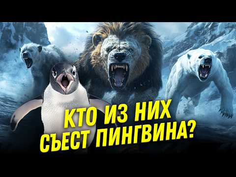 Видео: Пингвины не то чем кажутся | Евгений Коблик | Ученые против мифов 23-6