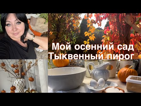 Видео: Прогулка по осеннему саду , тыквенный пирог 🥧 осенний влог