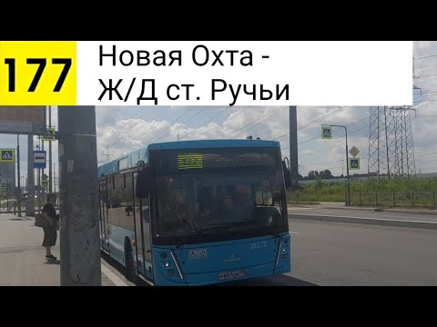 Видео: Автобус 177. Новая Охта - Ж/Д ст. Ручьи