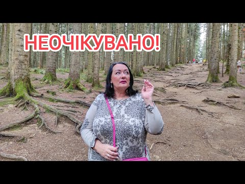 Видео: БОДРЕНЬКОЕ утро! Выпили, поели и на такси к Источнику 3! БАЗАРЧИК! Вилла Зоряний двір. Сходница 2024