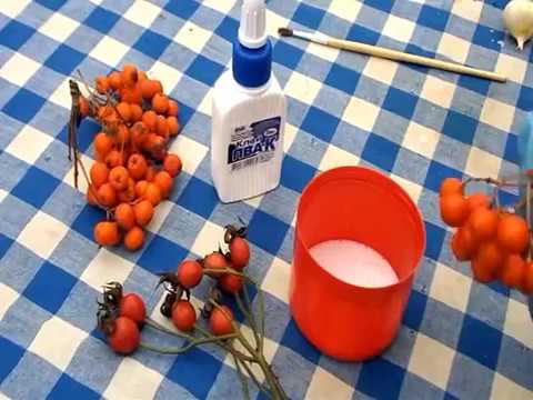 Видео: Рябина,чеснок,клей ПВА. Что получается.