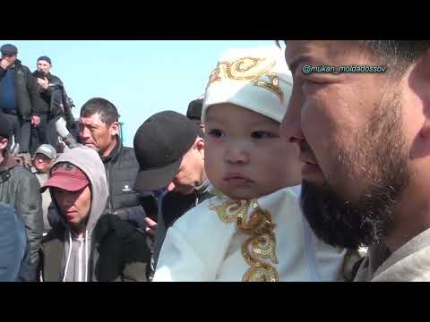 Видео: Келес ауданы Бозсу ауылы Шүкірбаевтар әулеті Әлсейіт мырзанынң елден бата алу той көкпары 28 02 2023