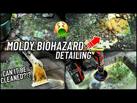 Видео: Можно ли очистить? MOLDY Biohazard Car Detailing Restoration - Глубокая очистка