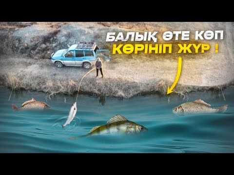 Видео: БАЛЫҚ КӨП, КӨРІНІП ЖҮР!😱 Көктемнің алғашқы балық аулауы. ЖЫЛАНБАЛЫҚ, САЗАН.