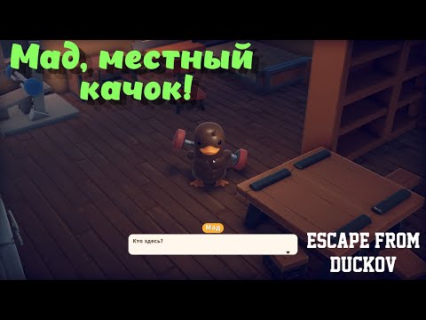 Видео: Escape from Duckov ➤ Местный качок, Мад! Или как потерять всё! (эпизод 3)