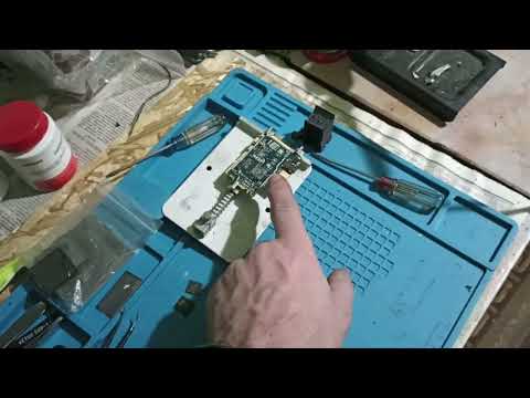 Видео: Бложик. Первый в этом году.