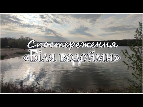 Видео: Спостереження "Біля водойми"