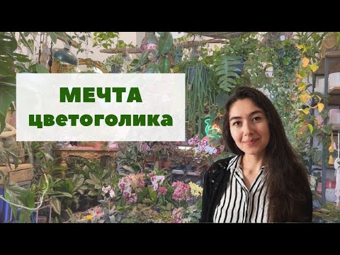 Видео: PRO. Änta's / ПРОГУЛКА по тропическому пространству + ОБЗОР магазина комнатных растений