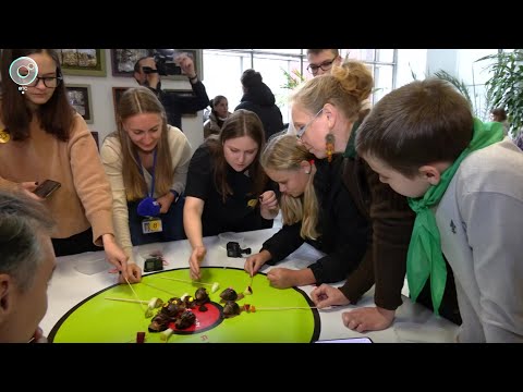 Видео: НОВОСТИ УТРА – 09 октября 2025