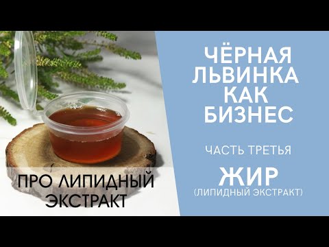 Видео: Чёрная львинка как бизнес. Часть третья. Жир (липидный экстракт).