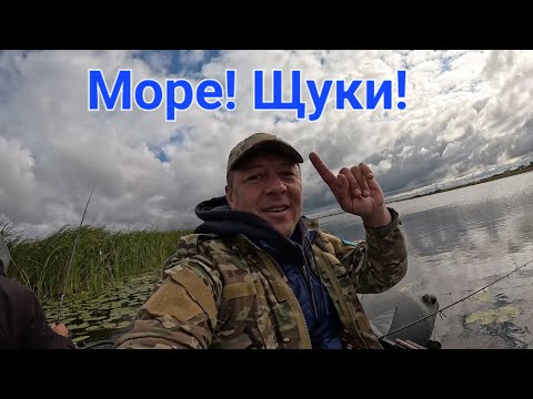 Видео: Ишим! Не доехал! Рыбалка на Протоке! Щуки Моря!
