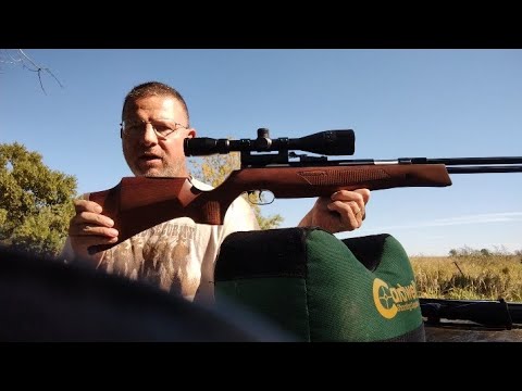 Видео: HW77 встречает HW80 на дистанции 30 ярдов