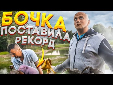 Видео: Когда ты живёшь на природе ,то и вся деятельность связана с погодой . Свинка бочка установила рекорд