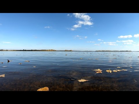 Видео: Рыбалка и отдых на Волге. Осенние краски и походная кухня.