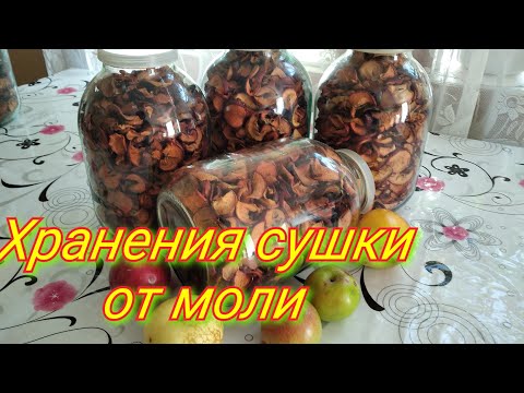 Видео: Как правильно хранить сушку из яблок, чтобы в них не завелась моль.