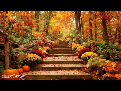 Видео: Прекрасныйосеннийпейзаж 🍁 Успокаивающаярасслабляющаямузыка