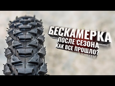 Видео: БЕСКАМЕРКА после сезона. Как все прошло? Тонкости и нюансы обслуживания