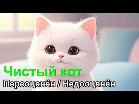 Видео: Чистый код переоценён - мифы и реальность